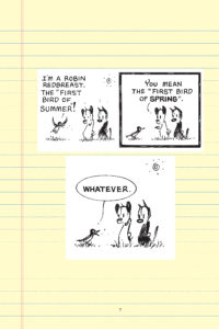 The Mutts Summer Diaries