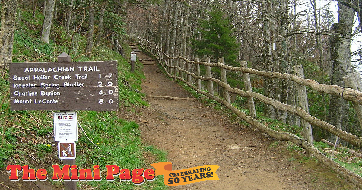blog_mp_taking-the-long-way