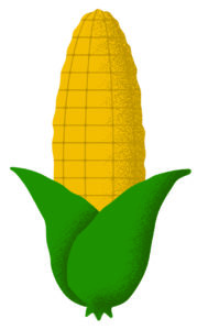 Corn Cob