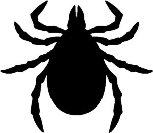 Tick