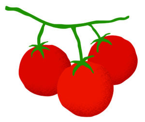 Tomatoes