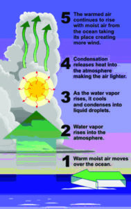 Hurricane Information